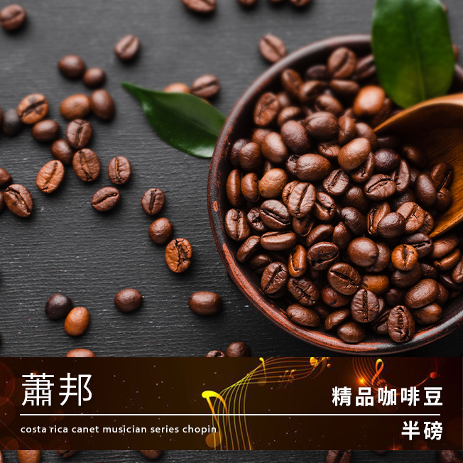 Tiamo 精品咖啡豆 蕭邦 半磅  |精品咖啡豆 買三送一